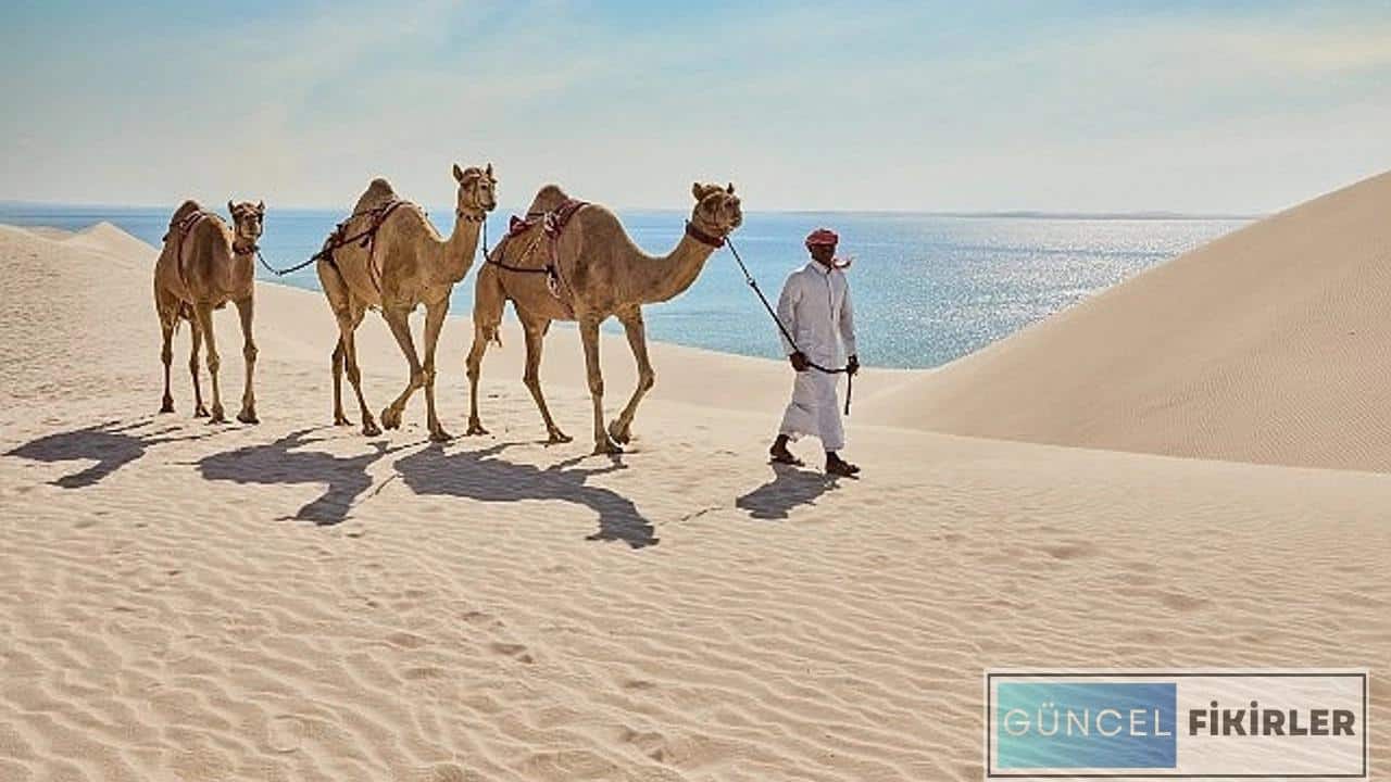 Katar İş İlanları Ve İş Başvurusu 1 Katar İş İlanları Ve İş Başvurusu