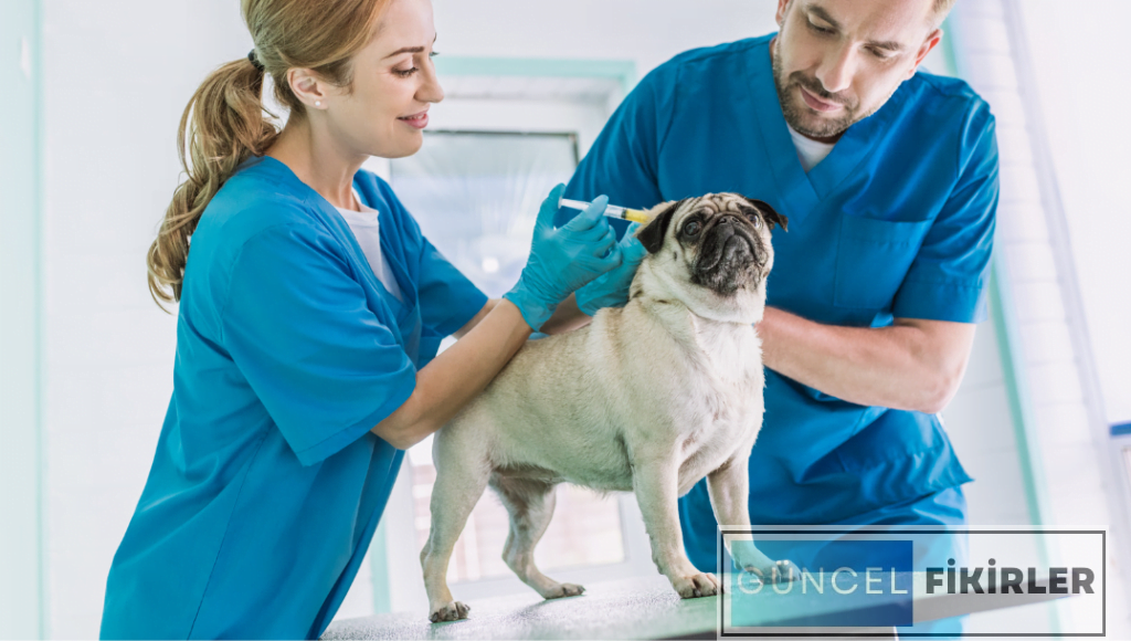 4 Yıllık Maaşı İyi Olan Bölümler Hangileri 7 4 Yıllık Maaşı İyi Olan Bölümler