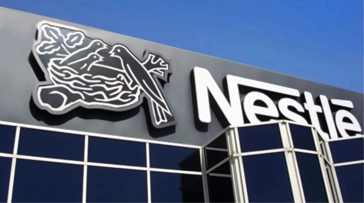 Nestle su bayilik şartları