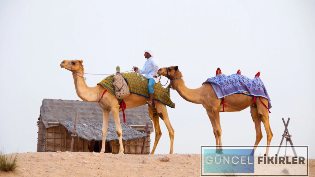 Dubai İş Fikirleri 4 Dubai İş Fikirleri