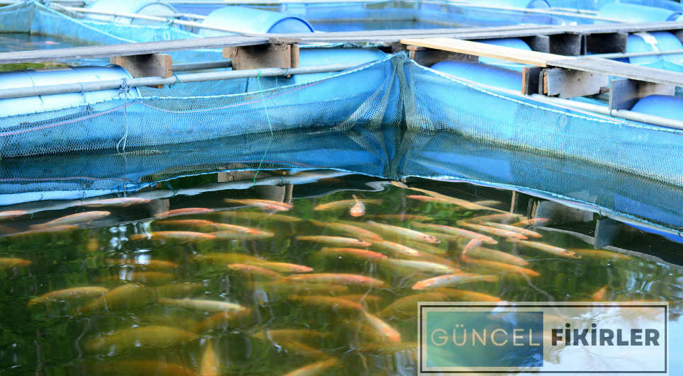 Trend İş Fikirleri 4 image 34