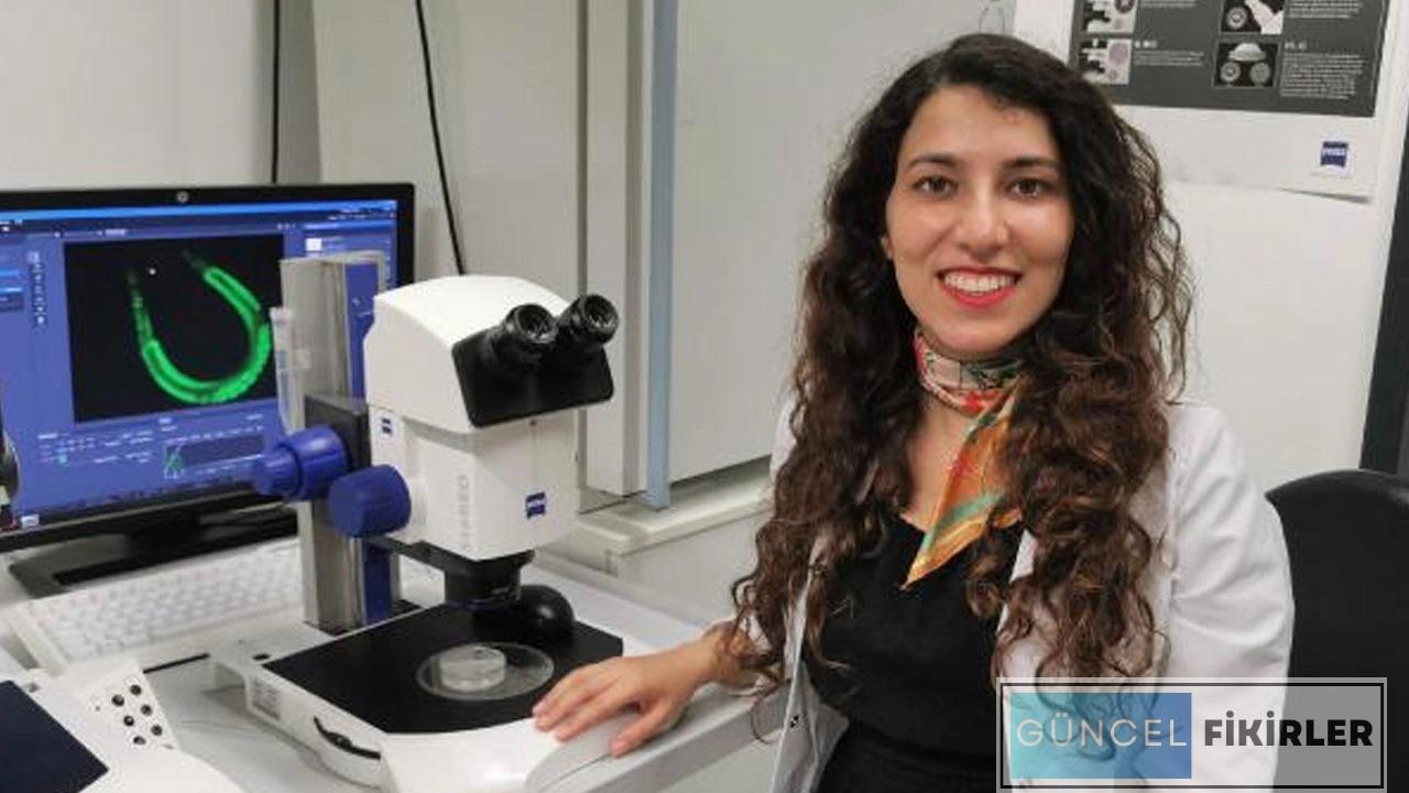 Araştırma Uzmanı Ne Kadar Kazanıyor Aylık Araştırma Uzmanı Maaşları 2024 1 Araştırma Uzmanı maaşları