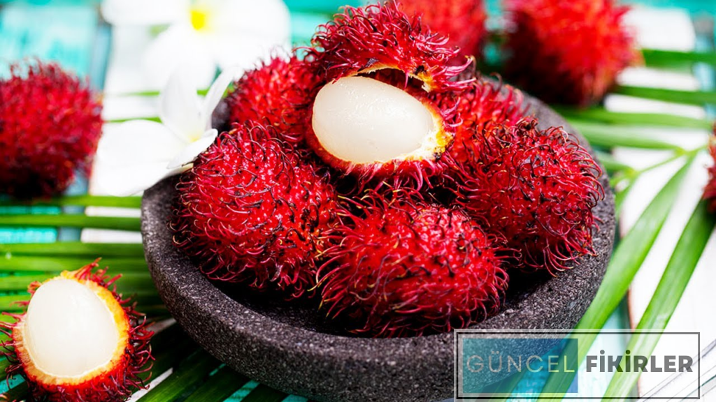 Yurtdışında Olup Türkiye de Olmayan Ürünler 3 Yurtdışında Olup Türkiye de Olmayan Ürünler