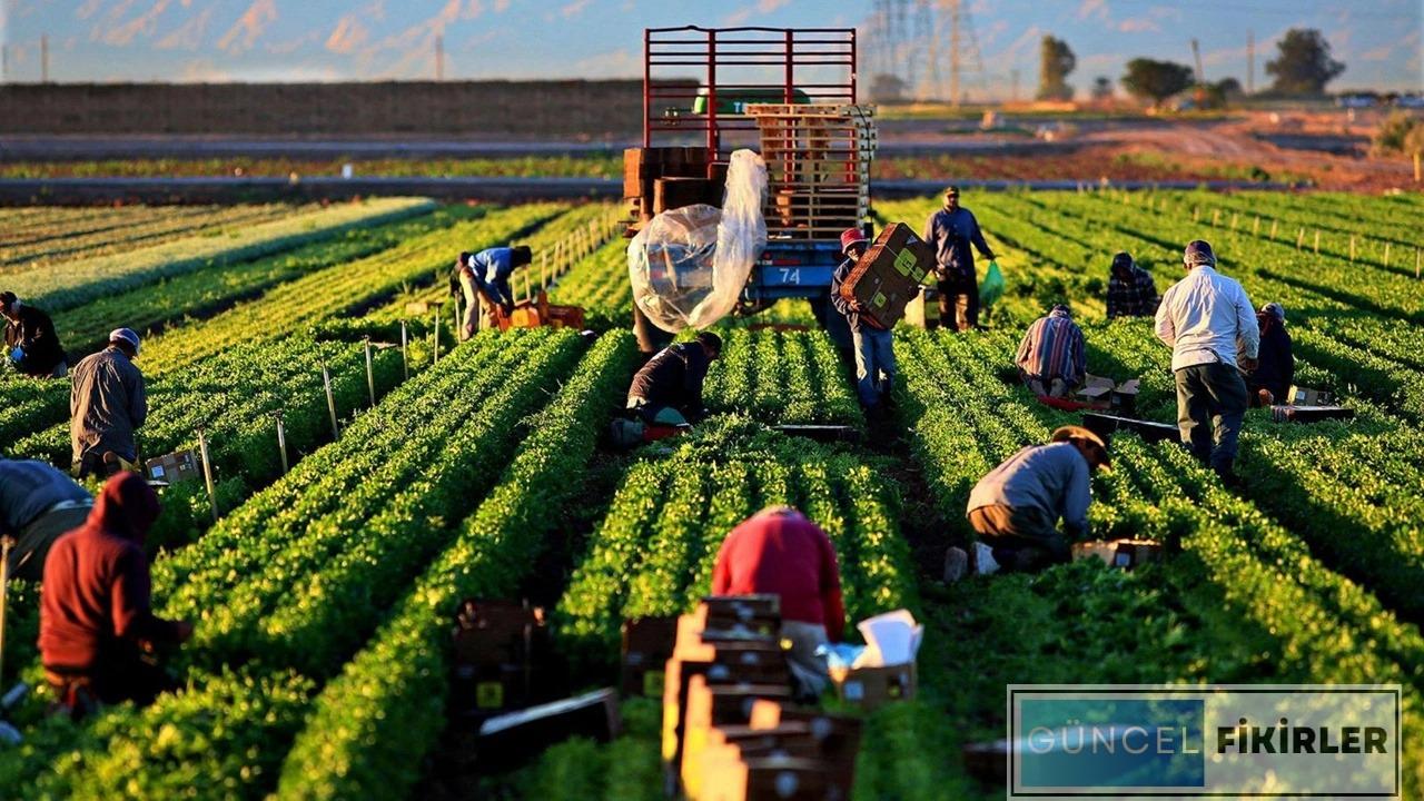 Organik Tarım İşletmeciliği Maaşları 1 Organik Tarım İşletmeciliği Maaşları