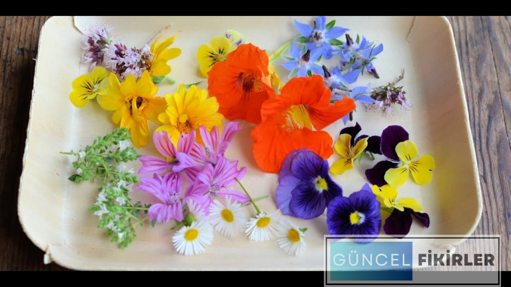 Fark Edilmemiş İş Fikirleri 2024 5 Fark Edilmemiş İş Fikirleri