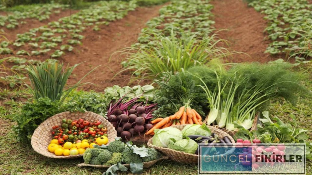 Organik Tarım İşletmeciliği Maaşları 5 image 108