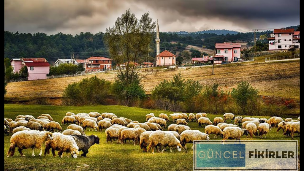 Köyde Para Kazandıran İşler 3 Köyde Para Kazandıran İşler