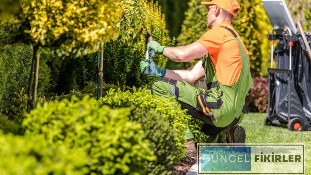 Hizmet İş Fikirleri 7 image 70