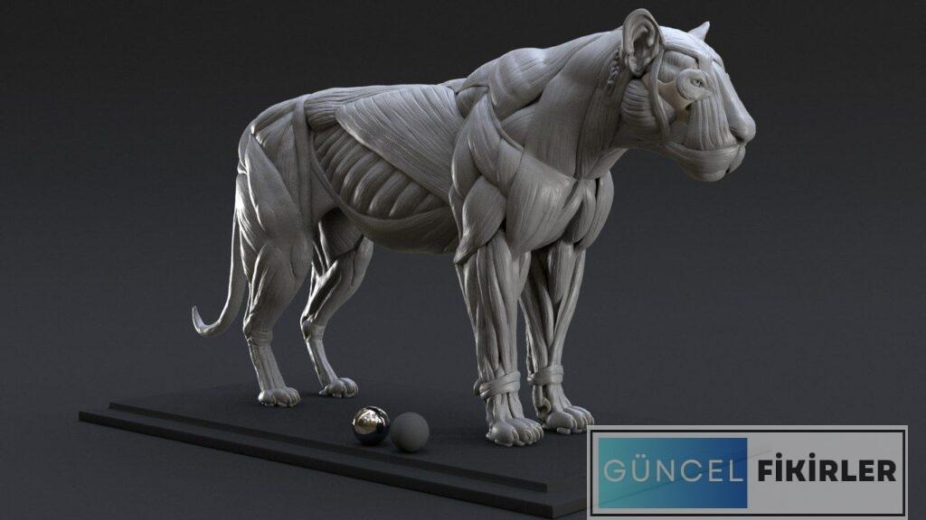 3D Modelleme Uzman Maaşları 4 3D Modelleme Uzman Maaşları