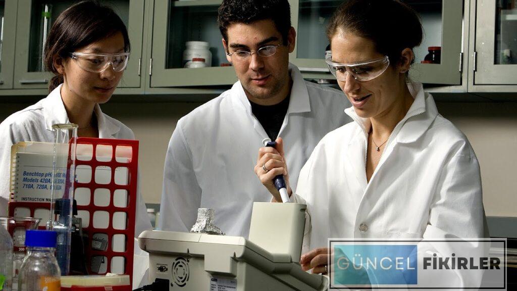 Az Bilinen ve Çok Kazandıran İşler 2024 3 Az Bilinen ve Çok Kazandıran İşler 2024