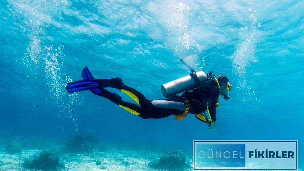 Az Bilinen ve Çok Kazandıran İşler 2024 4 Az Bilinen ve Çok Kazandıran İşler 2024