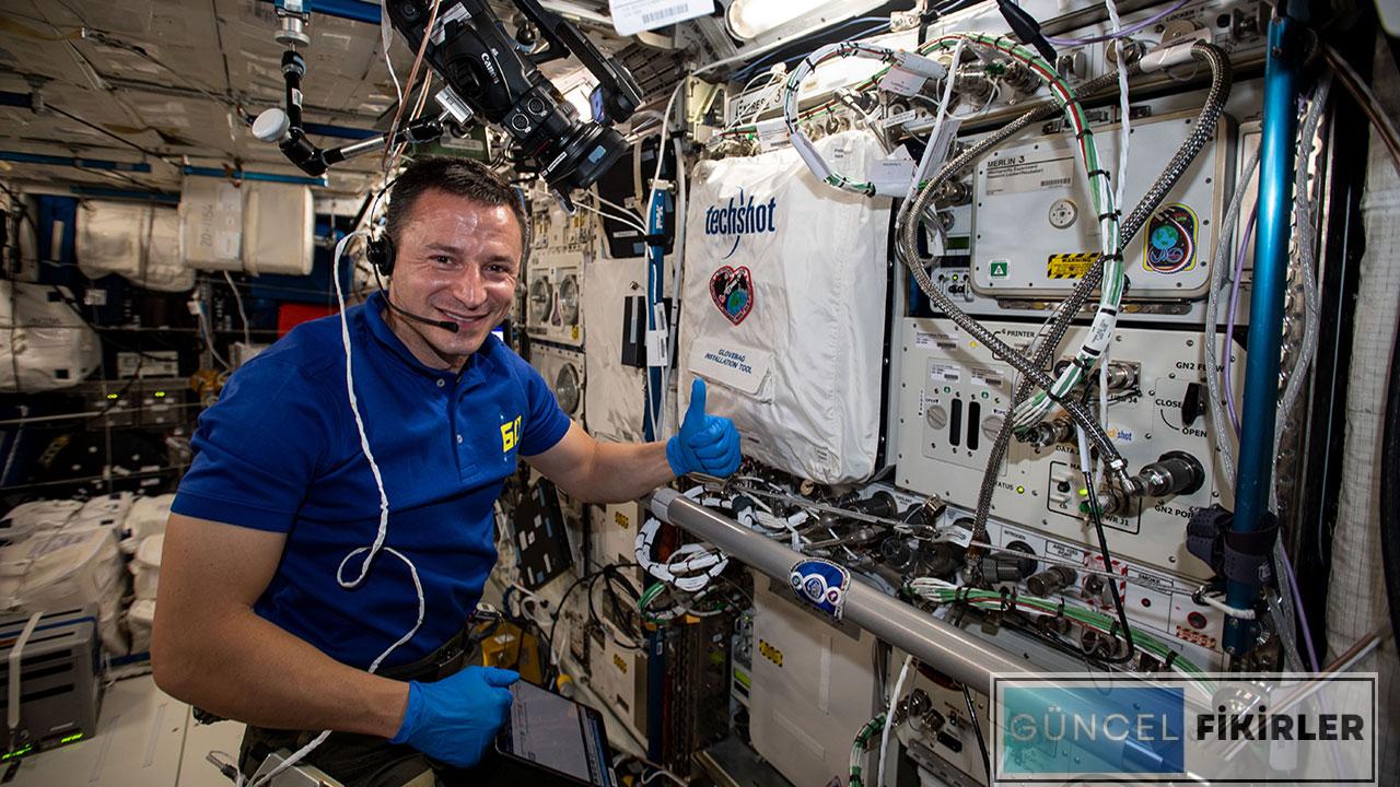 Sayısal Meslekler Nelerdir? 1 Sayısal Meslekler Nelerdir?