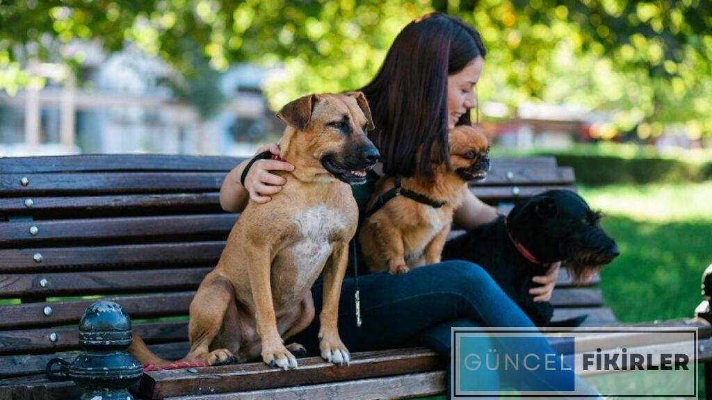 Yazları En Çok Para Kazandıran İşler 3 Yazları En Çok Para Kazandıran İşler