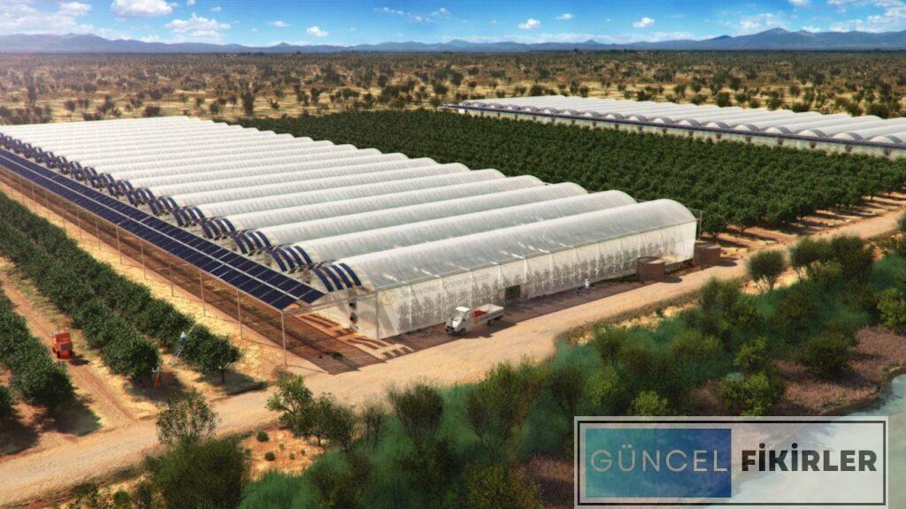 Serada Para Kazandıran İşler 2024 2 Serada Para Kazandıran İşler 2024