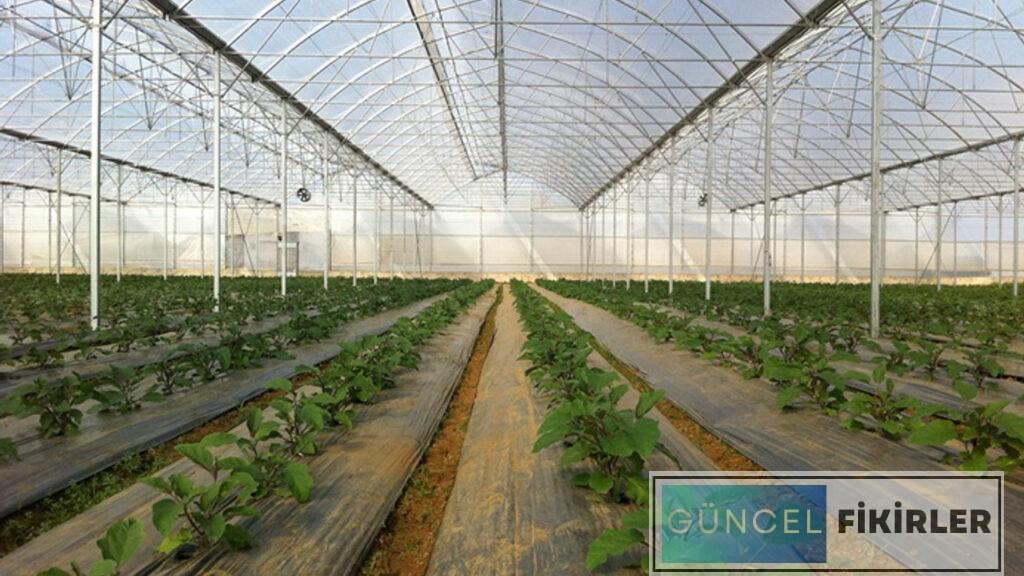 Serada Para Kazandıran İşler 2024 4 Serada Para Kazandıran İşler 2024