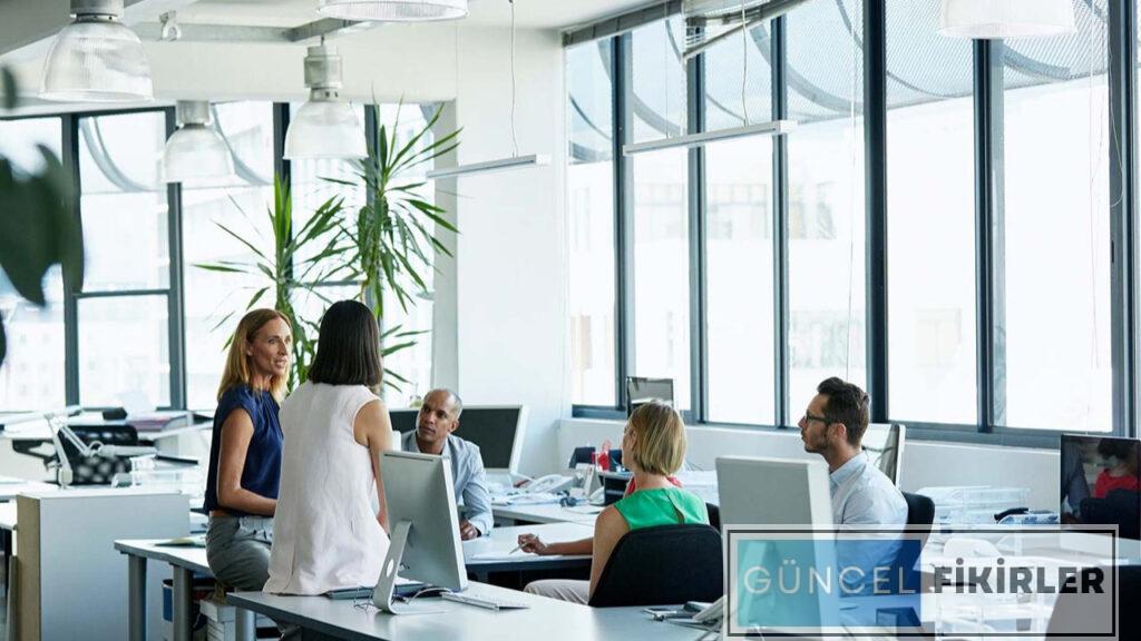 Yüksek Kazanç Sağlayacak İş Fikirleri 2024 2 Yüksek Kazanç Sağlayacak İş Fikirleri 2024