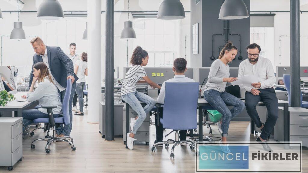 Yüksek Kazanç Sağlayacak İş Fikirleri 2024 3 Yüksek Kazanç Sağlayacak İş Fikirleri 2024